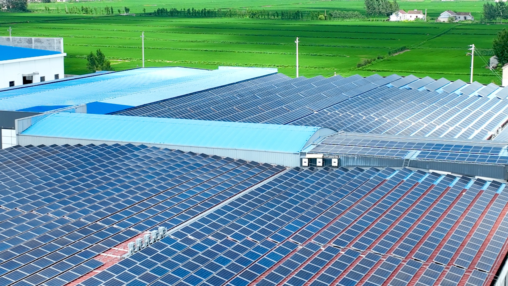 888���š����й������ٷ���վ